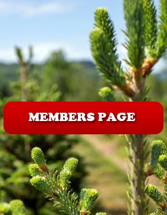 Members' Login