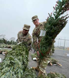 trees for troops